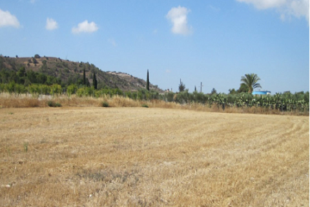 Продажа: Земля сельхозназначения, Алетрико, Ларнака, Кипр